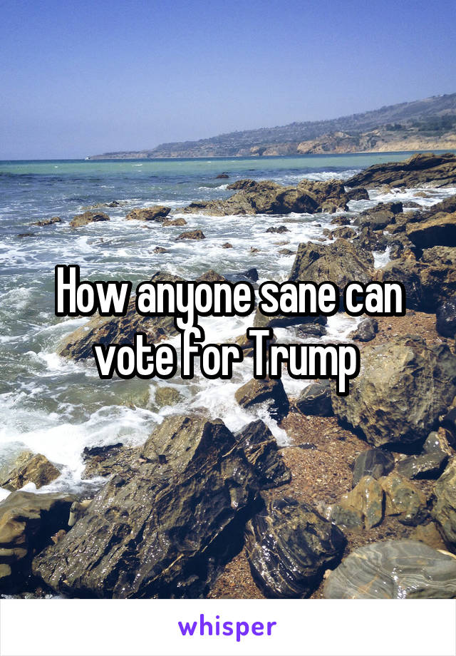 How anyone sane can vote for Trump 