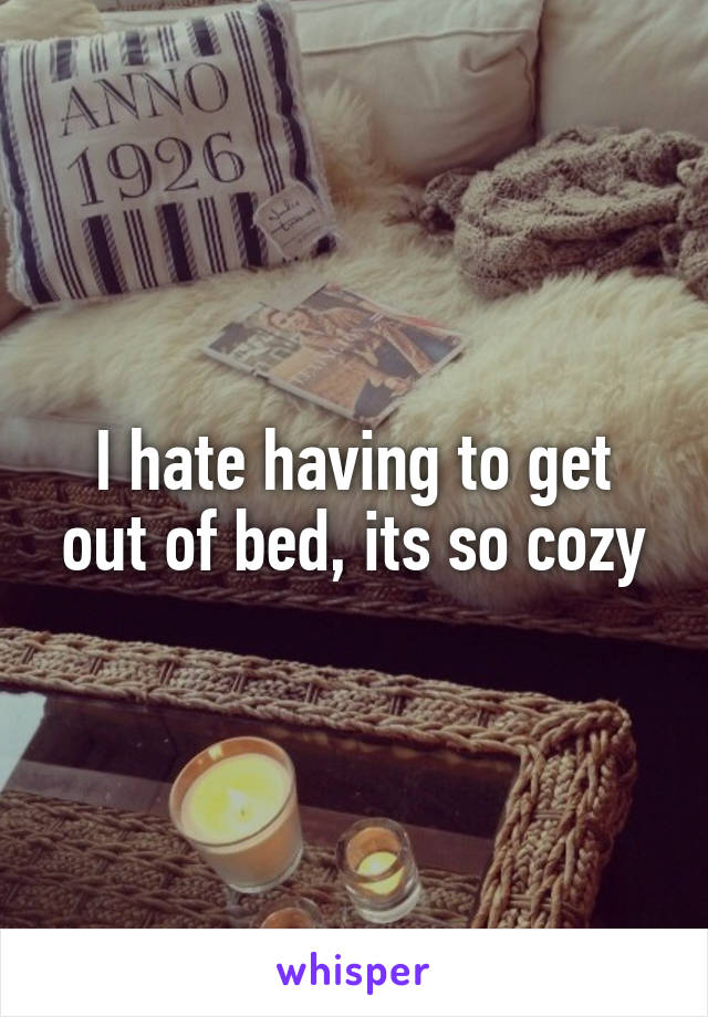 I hate having to get out of bed, its so cozy