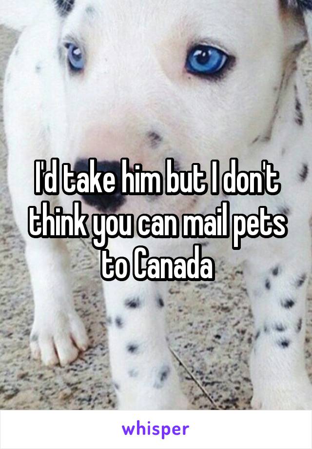 I'd take him but I don't think you can mail pets to Canada