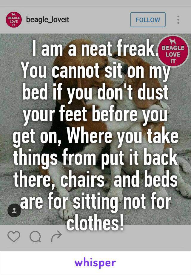 I am a neat freak.
You cannot sit on my bed if you don't dust your feet before you get on, Where you take things from put it back there, chairs  and beds are for sitting not for clothes!