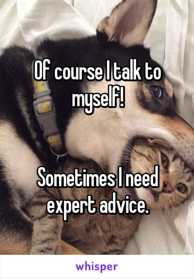 Of course I talk to myself!


Sometimes I need expert advice.