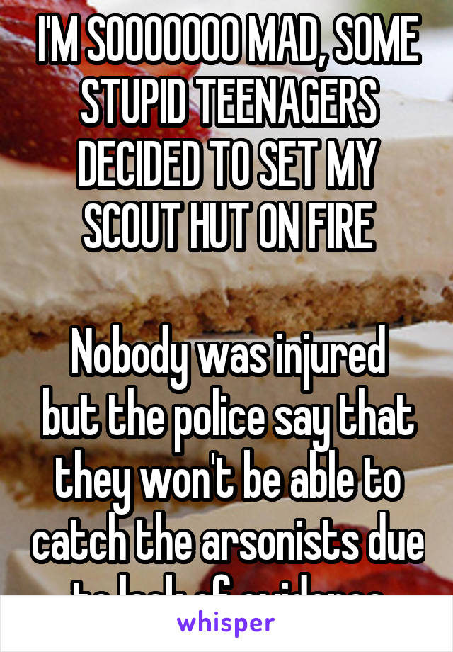 I'M SOOOOOOO MAD, SOME STUPID TEENAGERS DECIDED TO SET MY SCOUT HUT ON FIRE

Nobody was injured but the police say that they won't be able to catch the arsonists due to lack of evidence