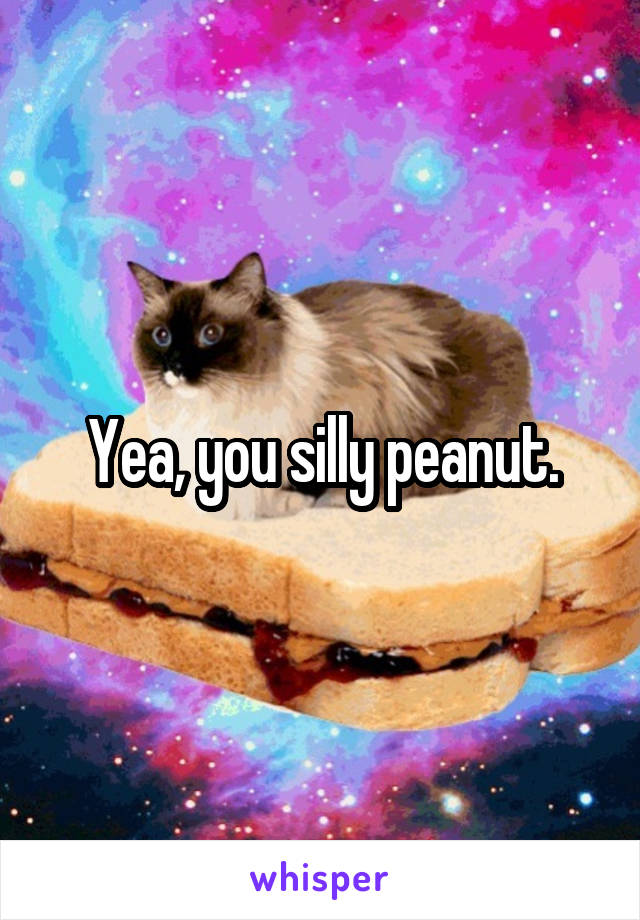 Yea, you silly peanut.