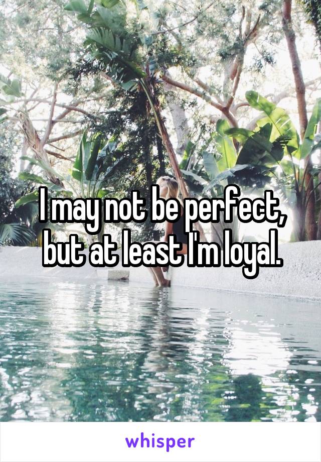 I may not be perfect, but at least I'm loyal.