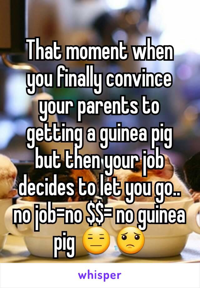 That moment when you finally convince your parents to getting a guinea pig but then your job decides to let you go.. no job=no $$= no guinea pig 😑😟