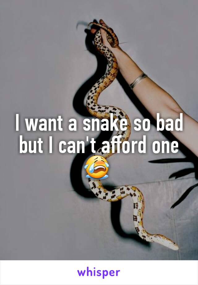 I want a snake so bad but I can't afford one 😭 