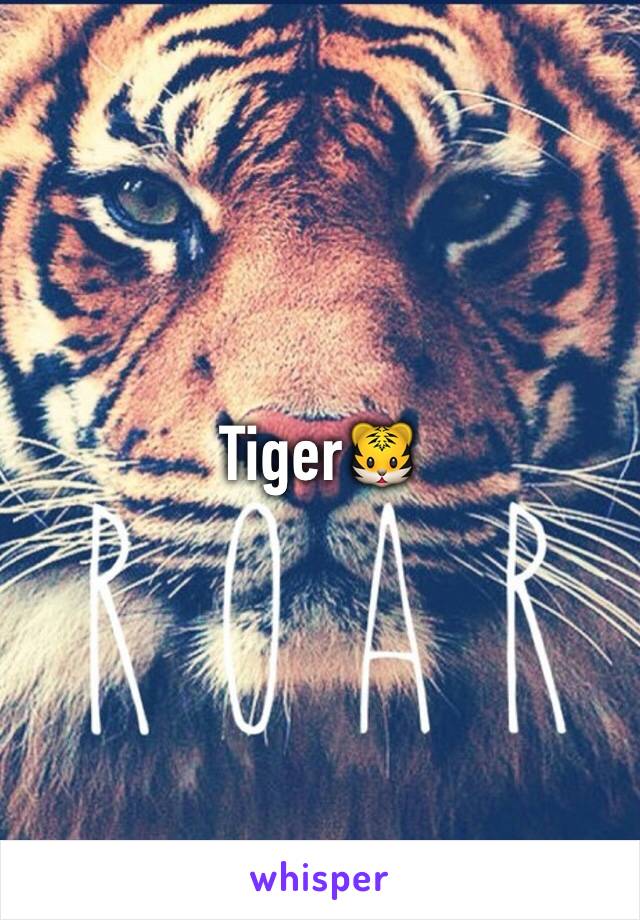 Tiger🐯