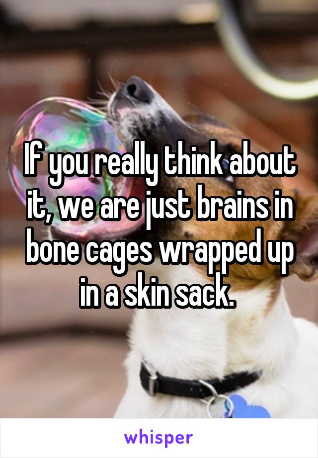 If you really think about it, we are just brains in bone cages wrapped up in a skin sack. 