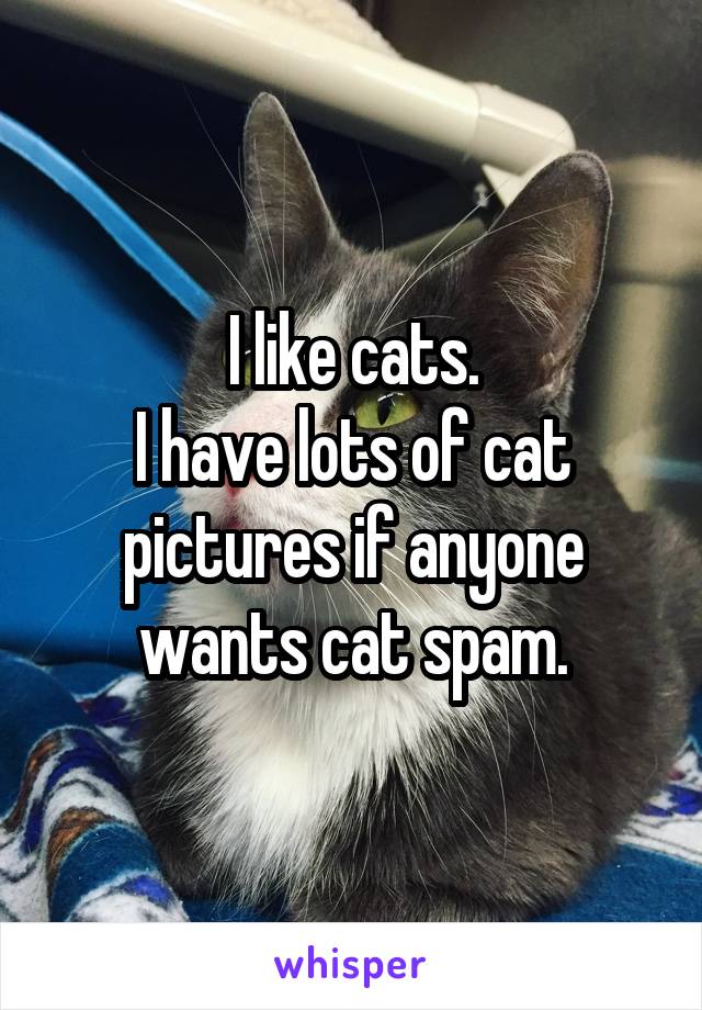 I like cats.
I have lots of cat pictures if anyone wants cat spam.