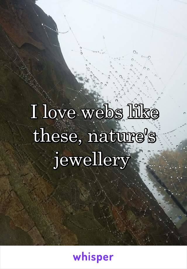 I love webs like these, nature's jewellery 