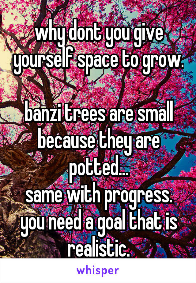 why dont you give yourself space to grow.

banzi trees are small because they are potted...
same with progress. you need a goal that is realistic.
