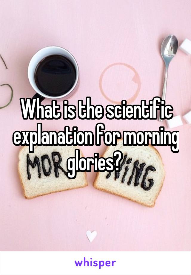 What is the scientific explanation for morning glories? 