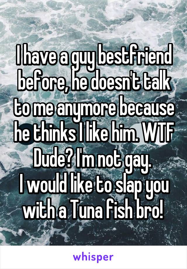 I have a guy bestfriend before, he doesn't talk to me anymore because he thinks I like him. WTF Dude? I'm not gay. 
I would like to slap you with a Tuna fish bro! 