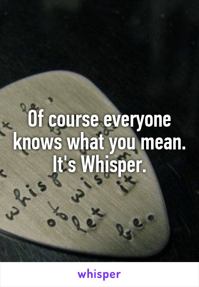 Of course everyone knows what you mean. It's Whisper.