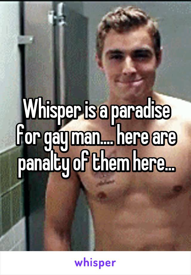Whisper is a paradise for gay man.... here are panalty of them here...