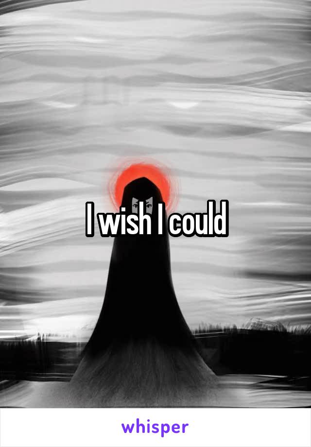 I wish I could