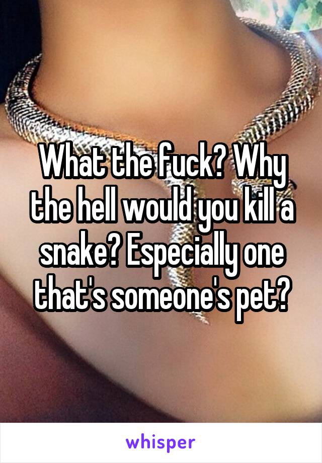 What the fuck? Why the hell would you kill a snake? Especially one that's someone's pet?