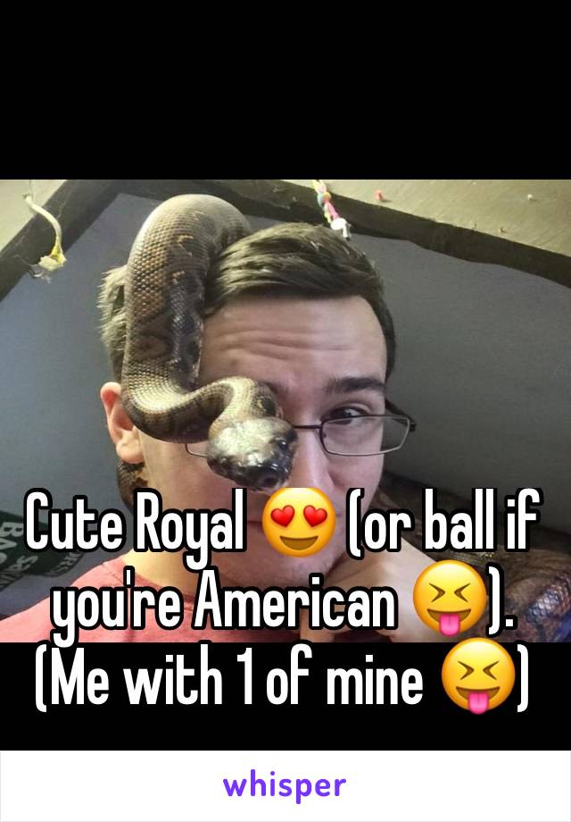 Cute Royal 😍 (or ball if you're American 😝).
(Me with 1 of mine 😝)