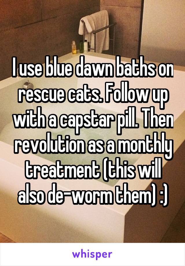 I use blue dawn baths on rescue cats. Follow up with a capstar pill. Then revolution as a monthly treatment (this will also de-worm them) :)