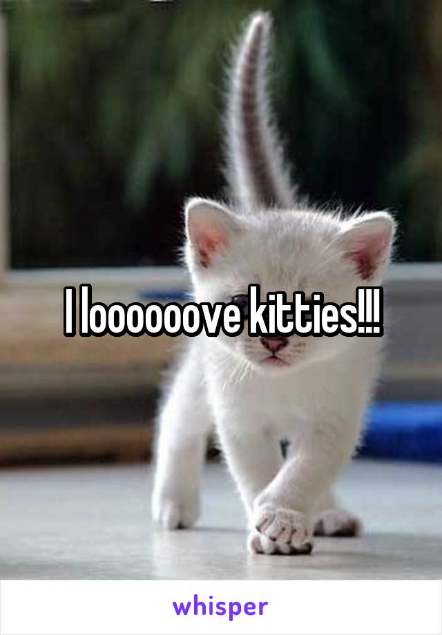 I loooooove kitties!!!