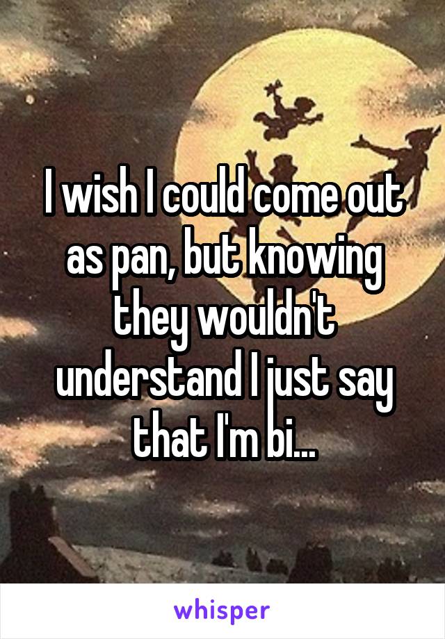 I wish I could come out as pan, but knowing they wouldn't understand I just say that I'm bi...