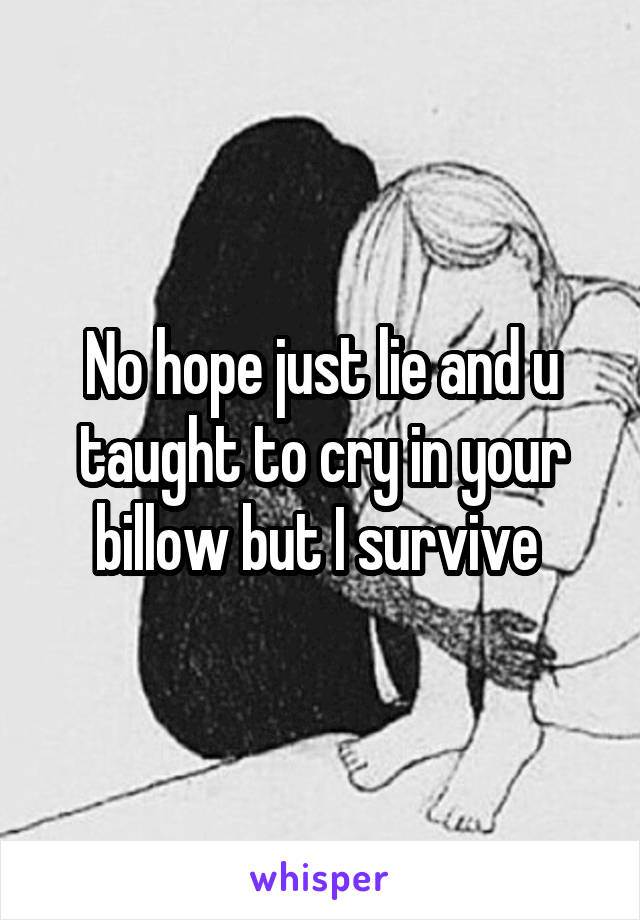 No hope just lie and u taught to cry in your billow but I survive 