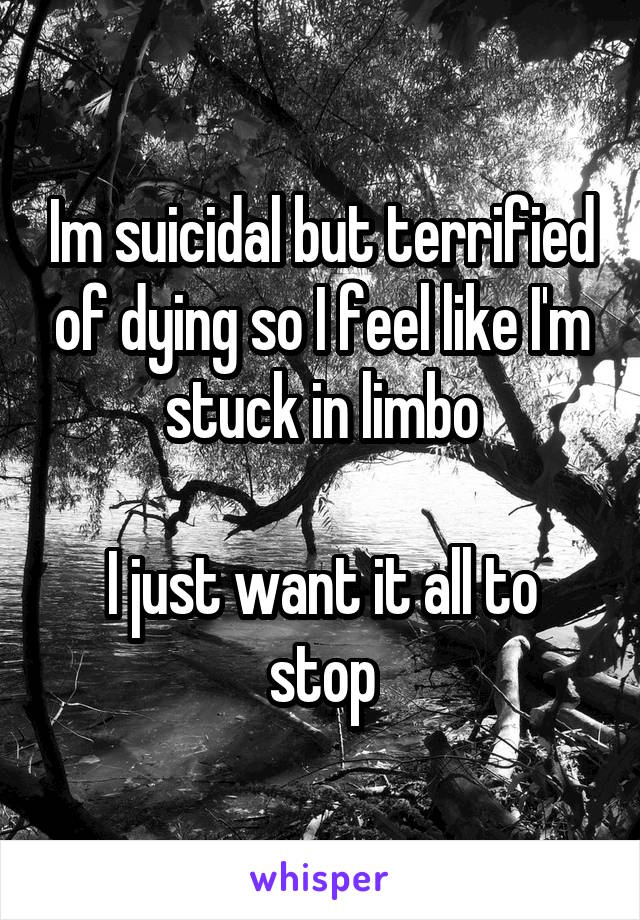 Im suicidal but terrified of dying so I feel like I'm stuck in limbo

I just want it all to stop