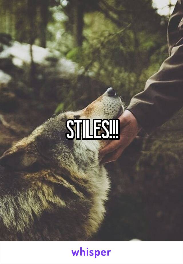 STILES!!!