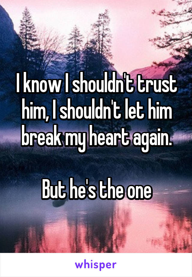 I know I shouldn't trust him, I shouldn't let him break my heart again.

But he's the one