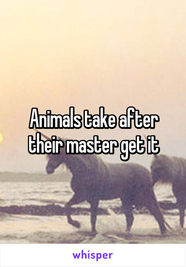 Animals take after their master get it