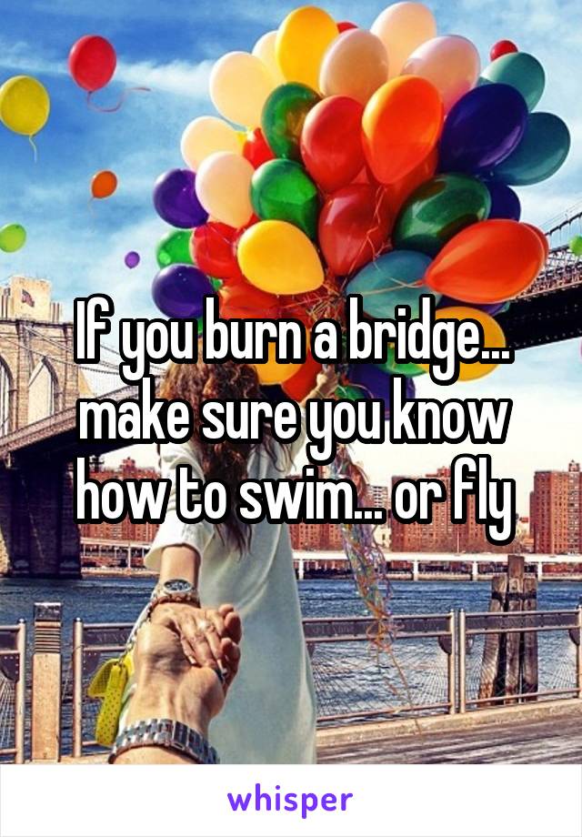 If you burn a bridge... make sure you know how to swim... or fly