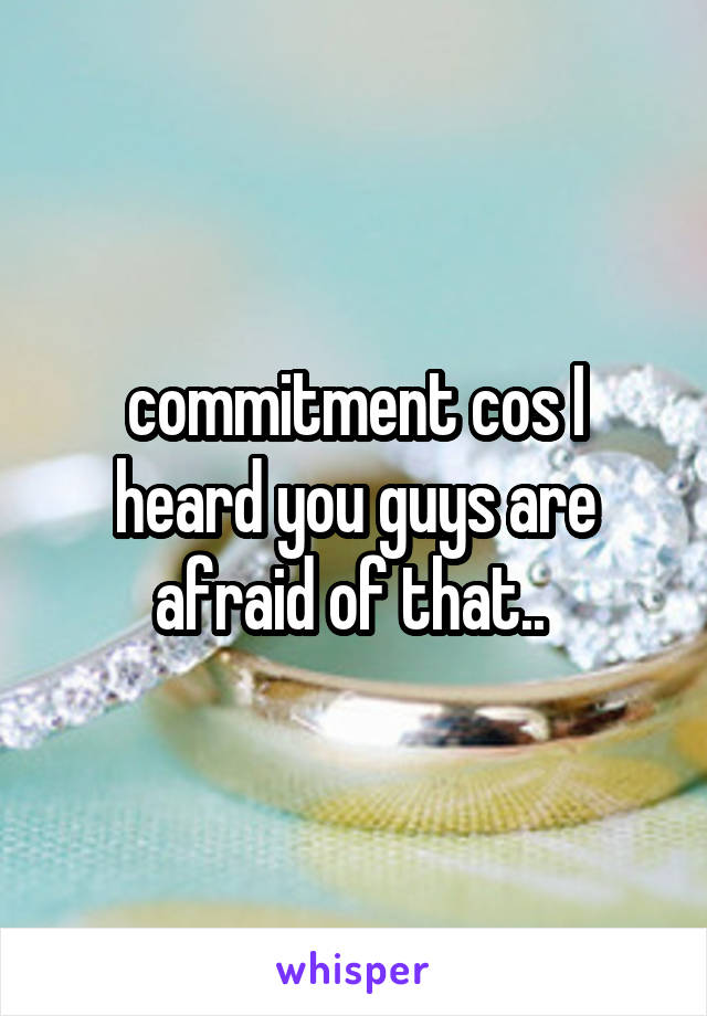 commitment cos I heard you guys are afraid of that.. 