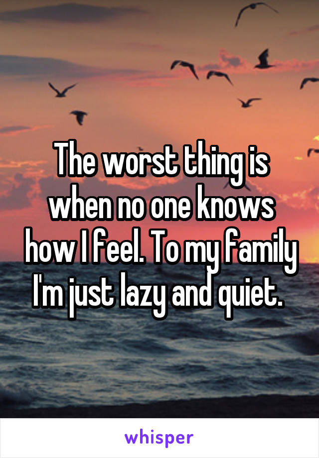The worst thing is when no one knows how I feel. To my family I'm just lazy and quiet. 
