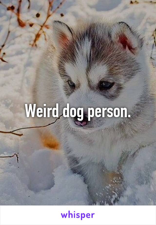 Weird dog person.