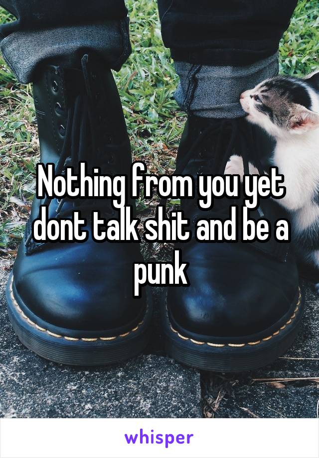 Nothing from you yet dont talk shit and be a punk