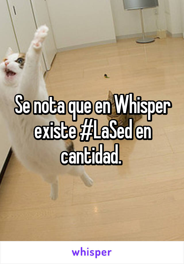 Se nota que en Whisper existe #LaSed en cantidad. 