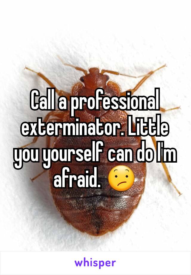 Call a professional exterminator. Little you yourself can do I'm  afraid. 😕