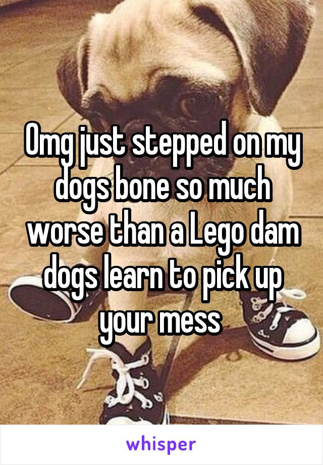 Omg just stepped on my dogs bone so much worse than a Lego dam dogs learn to pick up your mess 