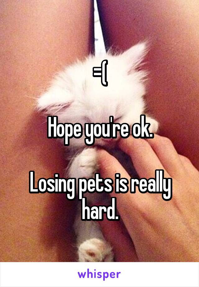 =(

Hope you're ok.

Losing pets is really hard.