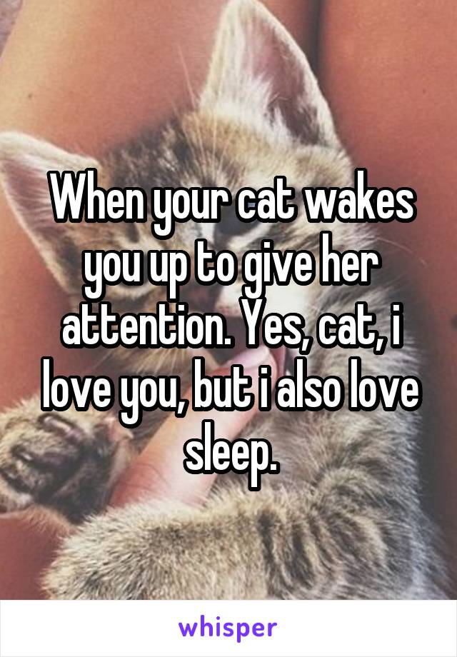When your cat wakes you up to give her attention. Yes, cat, i love you, but i also love sleep.