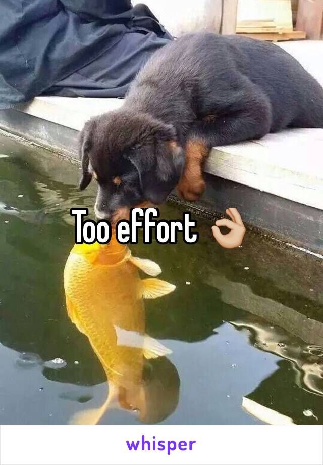 Too effort 👌🏼  