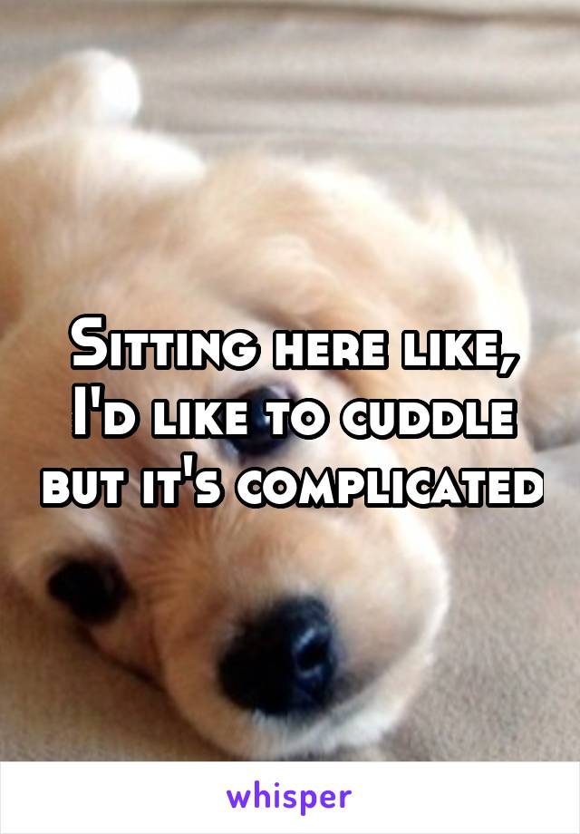 Sitting here like, I'd like to cuddle but it's complicated