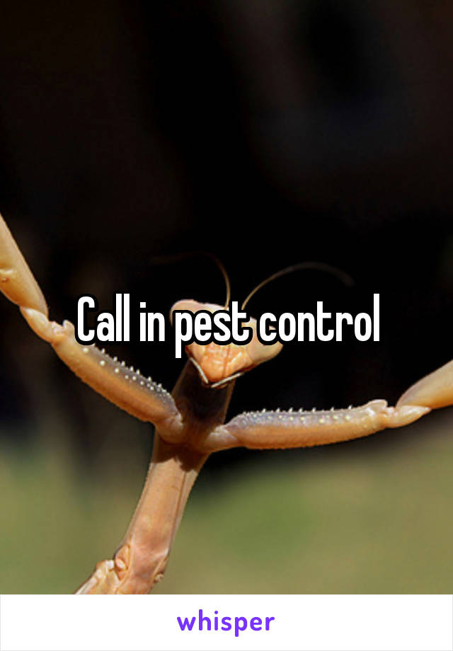 Call in pest control