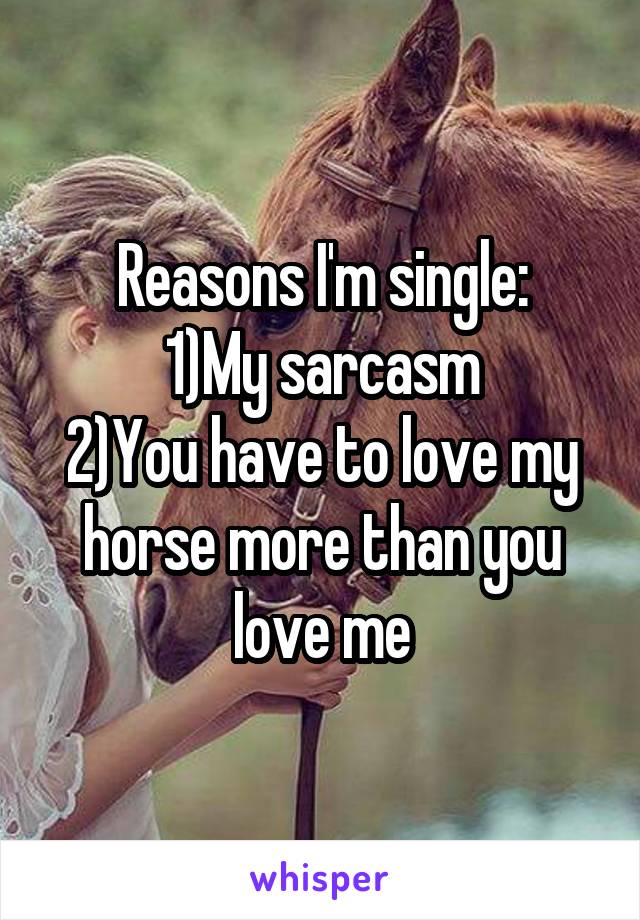 Reasons I'm single:
1)My sarcasm
2)You have to love my horse more than you love me