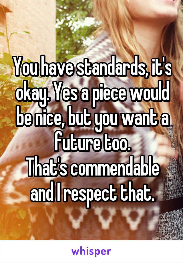 You have standards, it's okay. Yes a piece would be nice, but you want a future too.
That's commendable and I respect that.