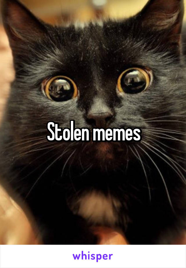 Stolen memes