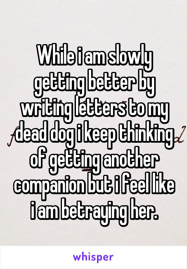 While i am slowly getting better by writing letters to my dead dog i keep thinking of getting another companion but i feel like i am betraying her.