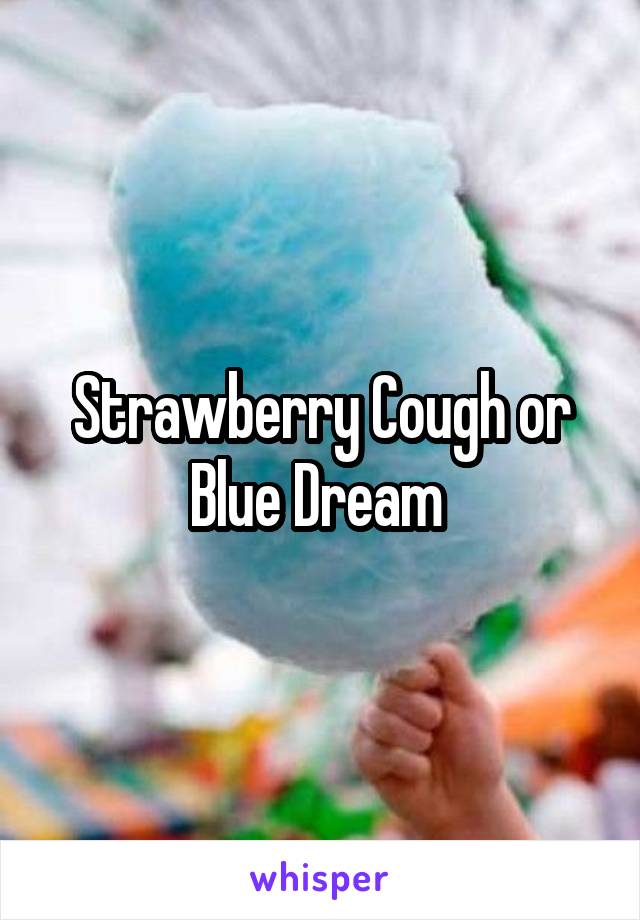 Strawberry Cough or Blue Dream 