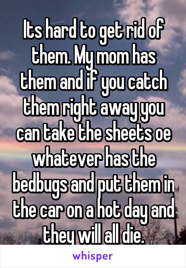 Its hard to get rid of them. My mom has them and if you catch them right away you can take the sheets oe whatever has the bedbugs and put them in the car on a hot day and they will all die.