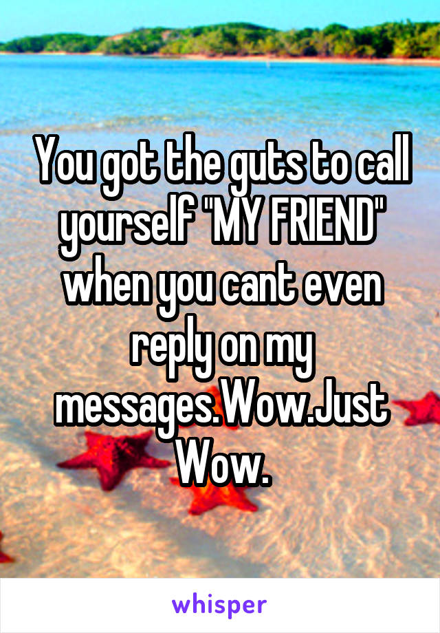 You got the guts to call yourself ''MY FRIEND'' when you cant even reply on my messages.Wow.Just Wow.